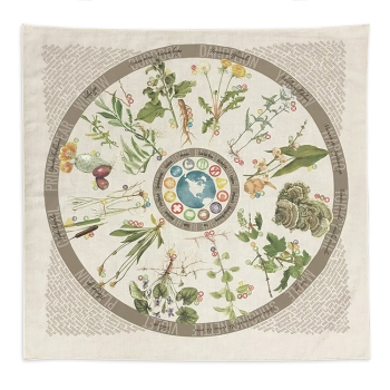 Wazoo Foraging Bandana & Wild Edible Plant Guide - BAN-FO-NC