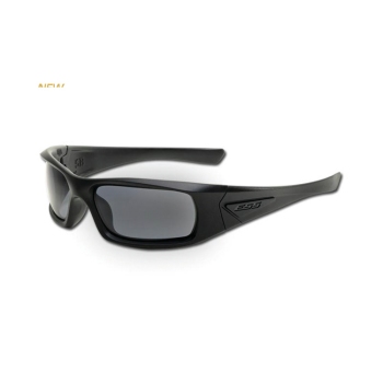 ESS Rollbar Sunglasses Black w/ Smoke Gray