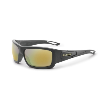 ESS Credence EE9015-19 Carbon Gray Mirrored Brass